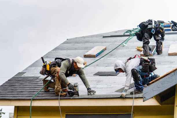 Professional Storm Damage Roof Repair technician working in Jay Em, WY